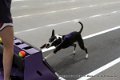 IMG_7068