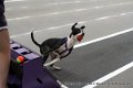 IMG_7070