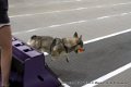IMG_7077