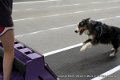 IMG_7084