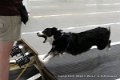 IMG_7120