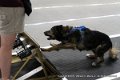 IMG_7127