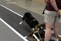 IMG_7152