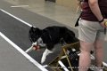 IMG_7154