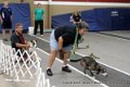 IMG_7190