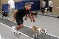 IMG_7193