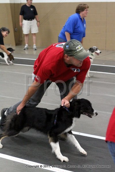 IMG_7329.JPG
