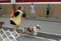 IMG_7211