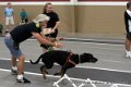 IMG_7215