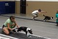 IMG_7285