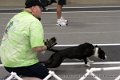 IMG_7290