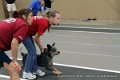 IMG_7334