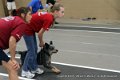 IMG_7335
