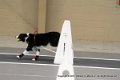 IMG_7371