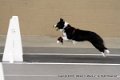 IMG_7395
