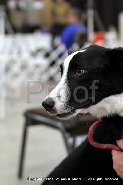 IMG_5029.JPG