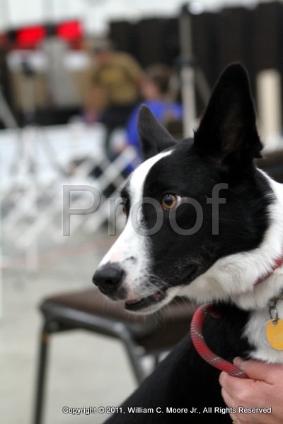 IMG_5034.JPG
