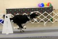 IMG_6539