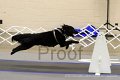 IMG_9803
