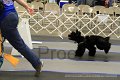 IMG_9818