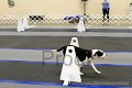 IMG_9838
