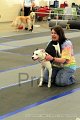 IMG_9858