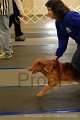 IMG_9861