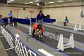 IMG_9868