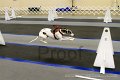 IMG_9869