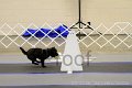 IMG_9918