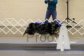 IMG_9922
