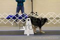 IMG_9923