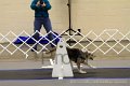 IMG_9925
