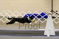 IMG_9962