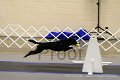 IMG_9964