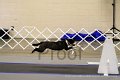 IMG_9966