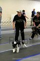 IMG_0029