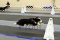 IMG_0042