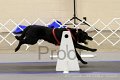IMG_0051