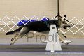 IMG_0052