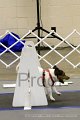 IMG_0056