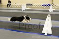 IMG_0058