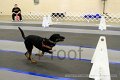 IMG_0070