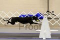 IMG_0103