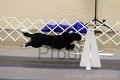 IMG_0117