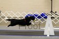 IMG_0120
