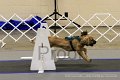 IMG_9988