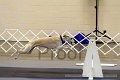 IMG_0153