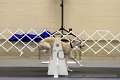 IMG_0154