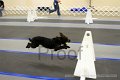 IMG_0161